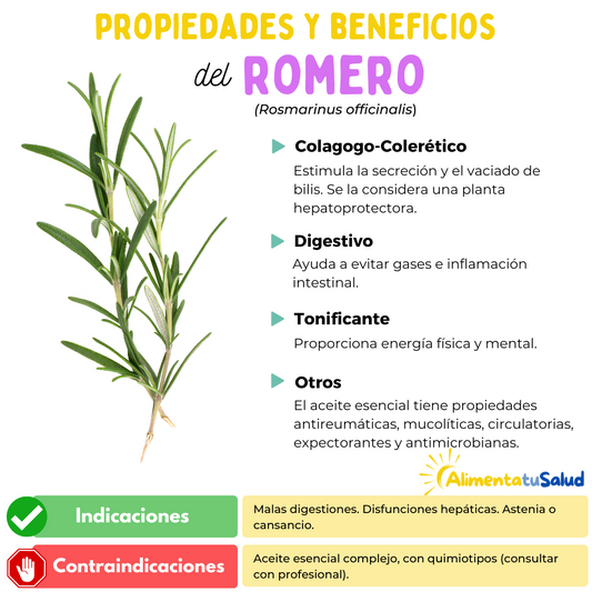 El Romero, propiedades y beneficios para la salud