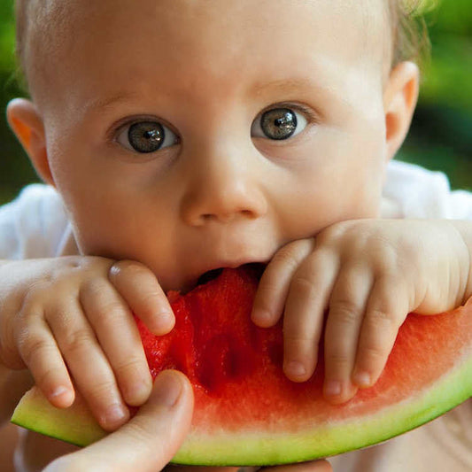 La alimentación saludable es el pilar fundamental de tu salud.