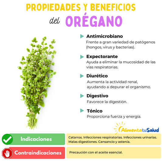 Propiedades y beneficios del ORÉGANO.