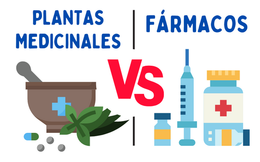 Plantas medicinales o medicamentos. ¿Qué los hace DIFERENTES?