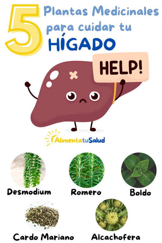 5 Plantas Medicinales para el HÍGADO. ¡Descúbrelas!