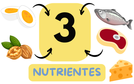 Los 3 nutrientes más importantes para mantener una buena salud.