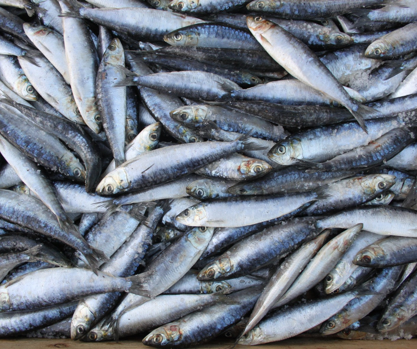 Pate Sardines Ressò - Pa Do Mar - 150 g