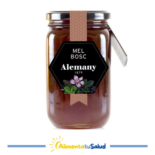 Miel de Bosque - 500 g - Alemany